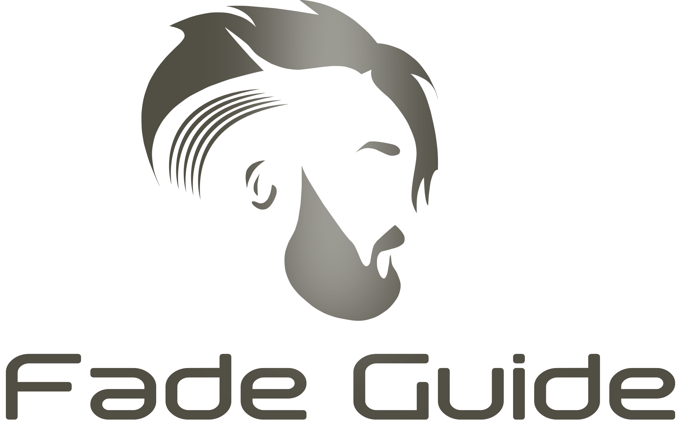 Discover Our Wide Range of Premium Haircare Products | Fade Guide